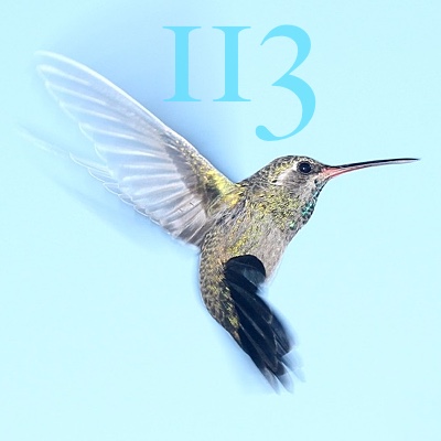 Image for numerology 'Number 113 Meaning' article