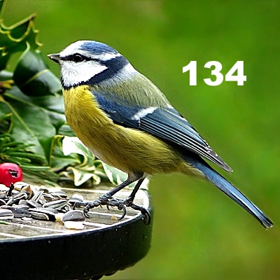 Image for numerology 'Number 134 Meaning' article