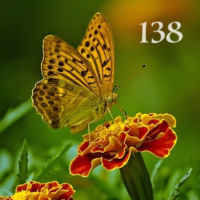 Image for numerology 'Number 138 Meaning' article