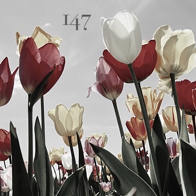 Image for numerology 'Number 147 Meaning' article
