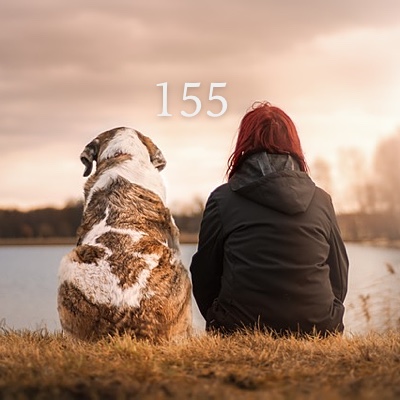 Image for numerology 'Number 155 Meaning' article