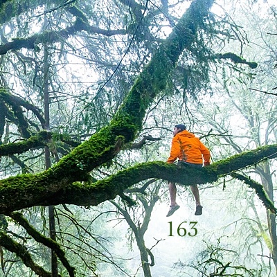 Image for numerology 'Number 163 Meaning' article