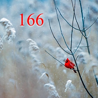Image for numerology 'Number 166 Meaning' article