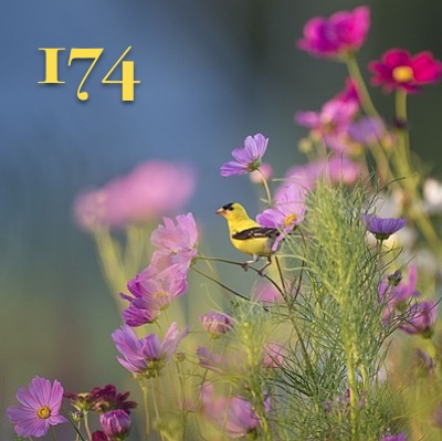 Image for numerology 'Number 174 Meaning' article