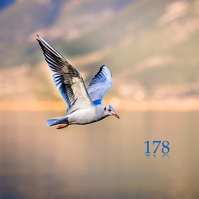 Image for numerology 'Number 178 Meaning' article