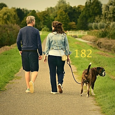 Image for numerology 'Number 182 Meaning' article