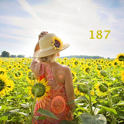 Image for numerology 'Number 187 Meaning' article