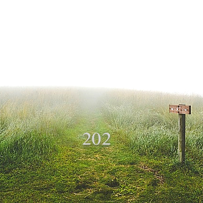 Image for numerology 'Number 202 Meaning' article