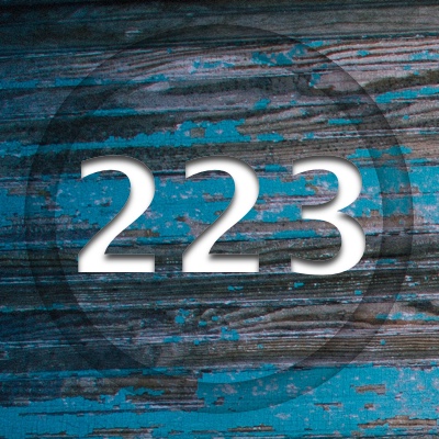 Image for numerology 'Number 223 Meaning' article