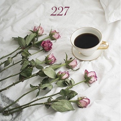 Image for numerology 'Number 227 Meaning' article