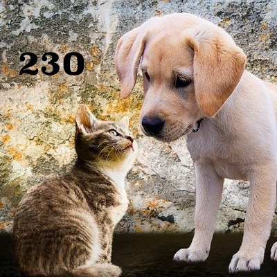 Image for numerology 'Number 230 Meaning' article