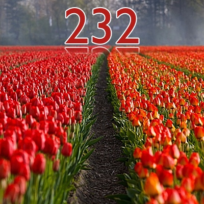 Image for numerology 'Number 232 Meaning' article