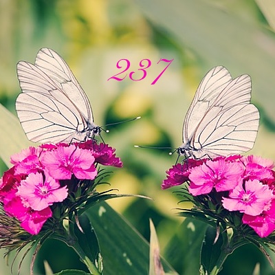 Image for numerology 'Number 237 Meaning' article
