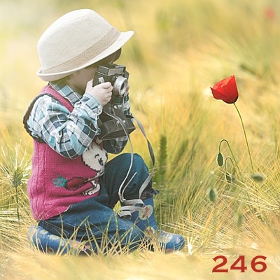 Image for numerology 'Number 246 Meaning' article