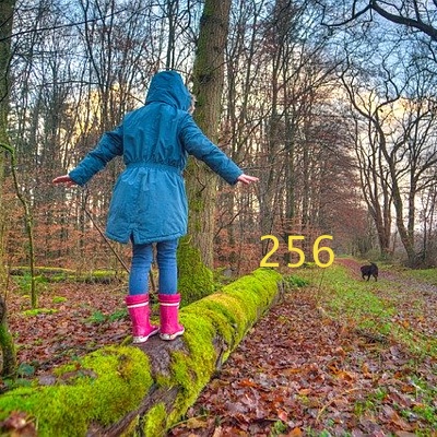 Image for numerology 'Number 256 Meaning' article