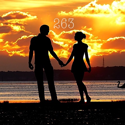 Image for numerology 'Number 263 Meaning' article