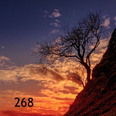 Image for numerology 'Number 268 Meaning' article
