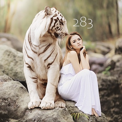 Image for numerology 'Number 283 Meaning' article
