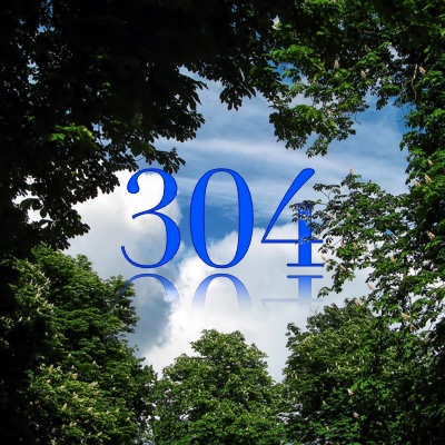Image for numerology 'Number 304 Meaning' article