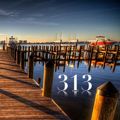 Image for numerology 'Number 313 Meaning' article