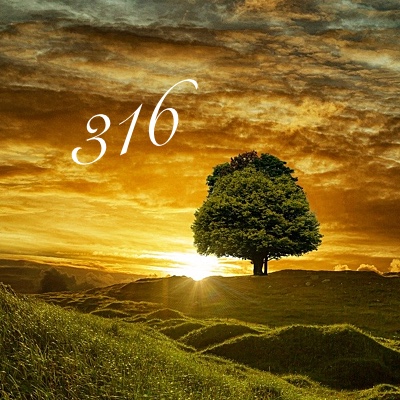 Image for numerology 'Number 316 Meaning' article