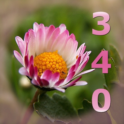 Image for numerology 'Number 340 Meaning' article