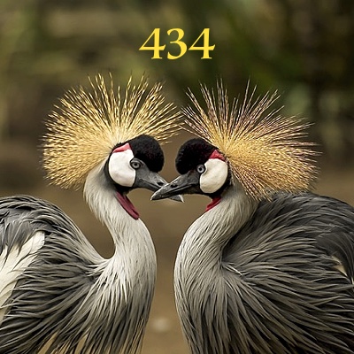 Image for numerology 'Number 434 Meaning' article