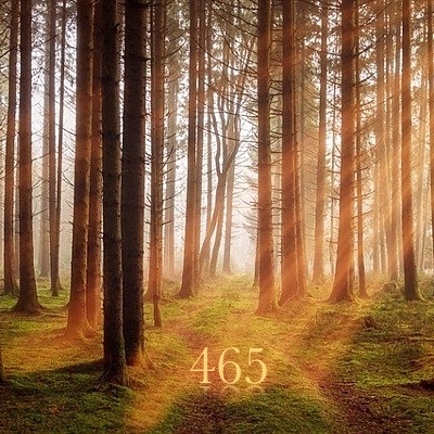 Image for numerology 'Number 465 Meaning' article