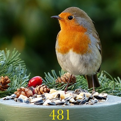 Image for numerology 'Number 481 Meaning' article