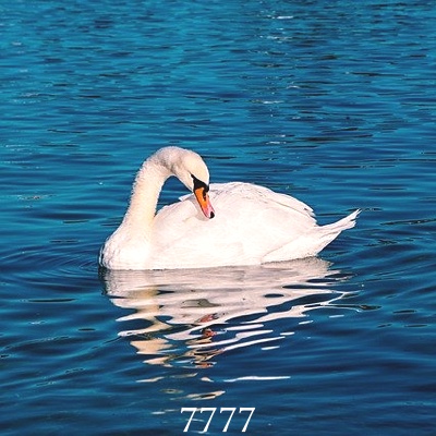 Image for numerology 'Number 7777 Meaning' article