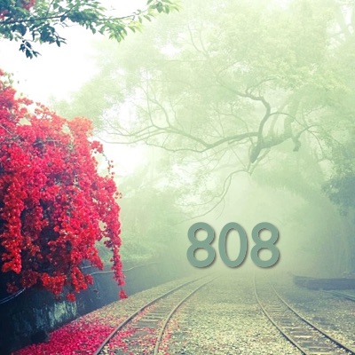 Image for numerology 'Number 808 Meaning' article