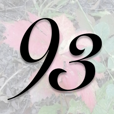 Image for numerology 'Number 93 Meaning' article