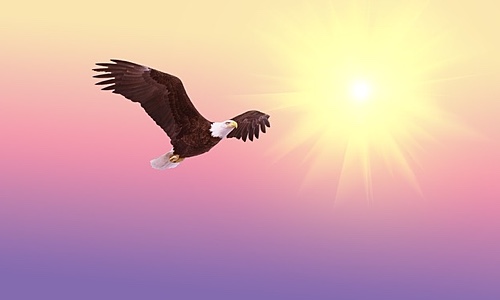 Image for 'Living and Soaring With Numerology' numerology article