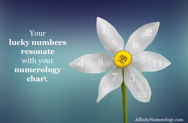 what-are-numerology-lucky-numbers